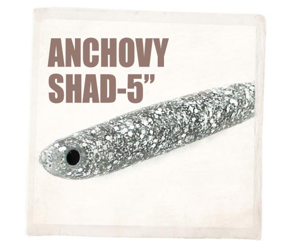 ʺ 5ġ (ANCHOVY SHAD 5