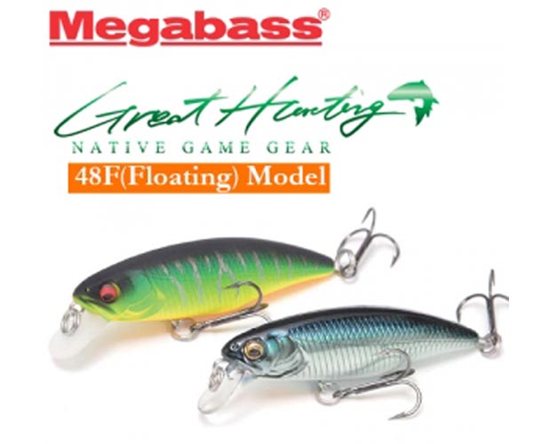 �׷���Ʈ ���� ���彺��48F