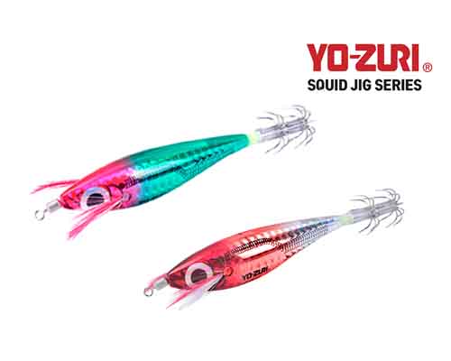 ��Ʈ������